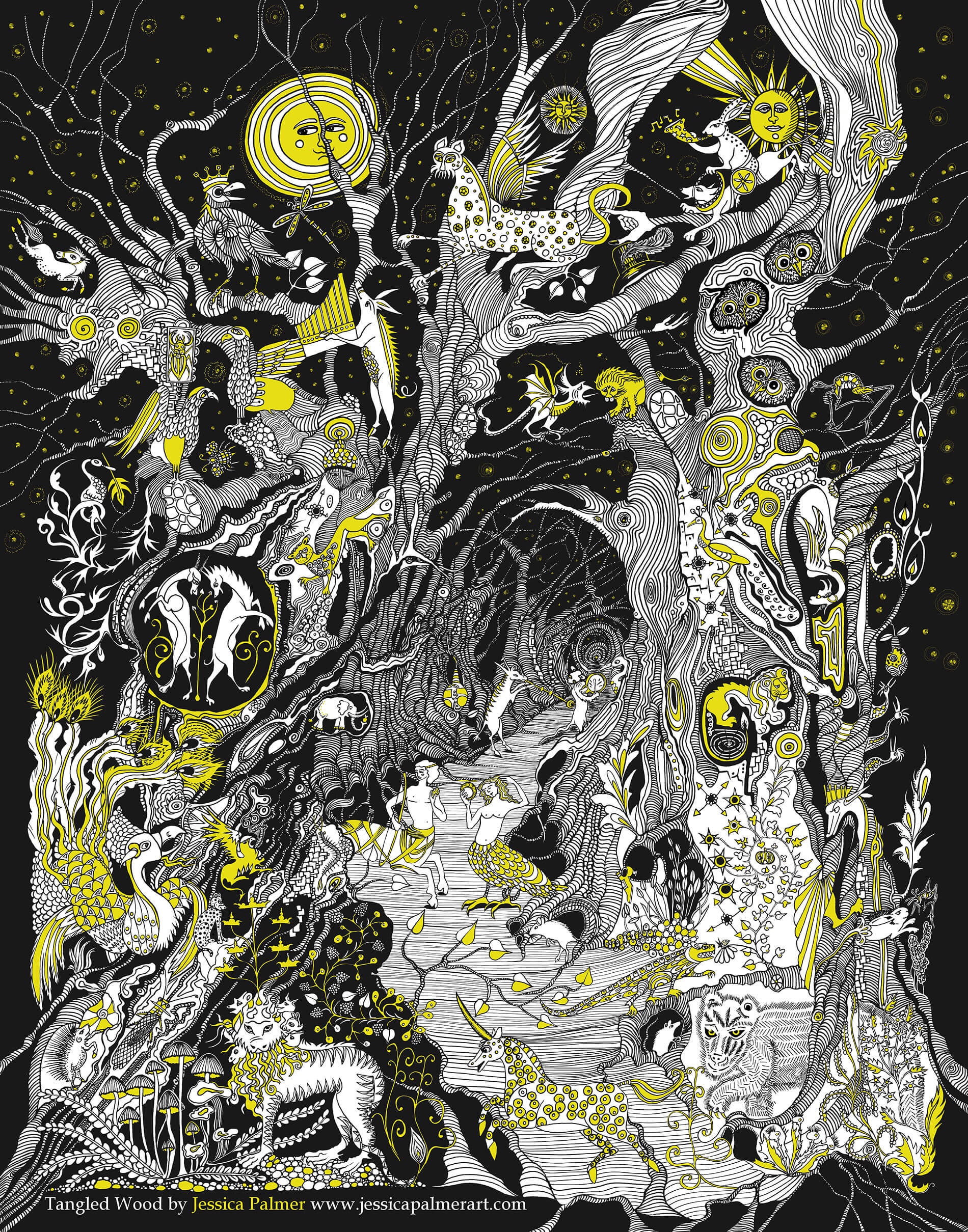 Holborne Museum, Bath