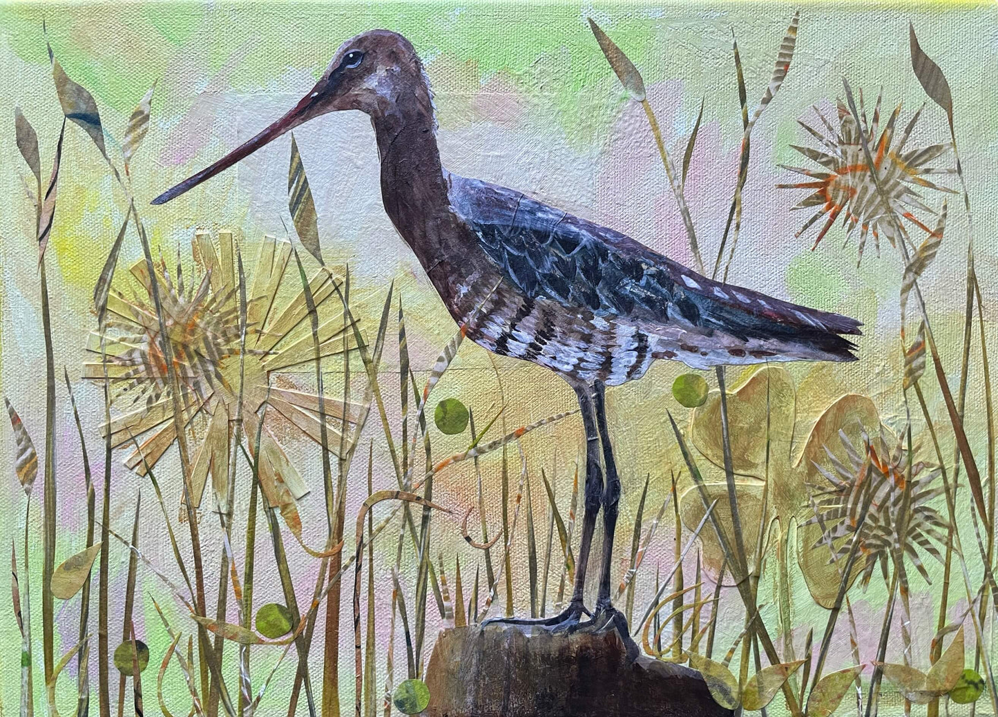 Godwit SOLD