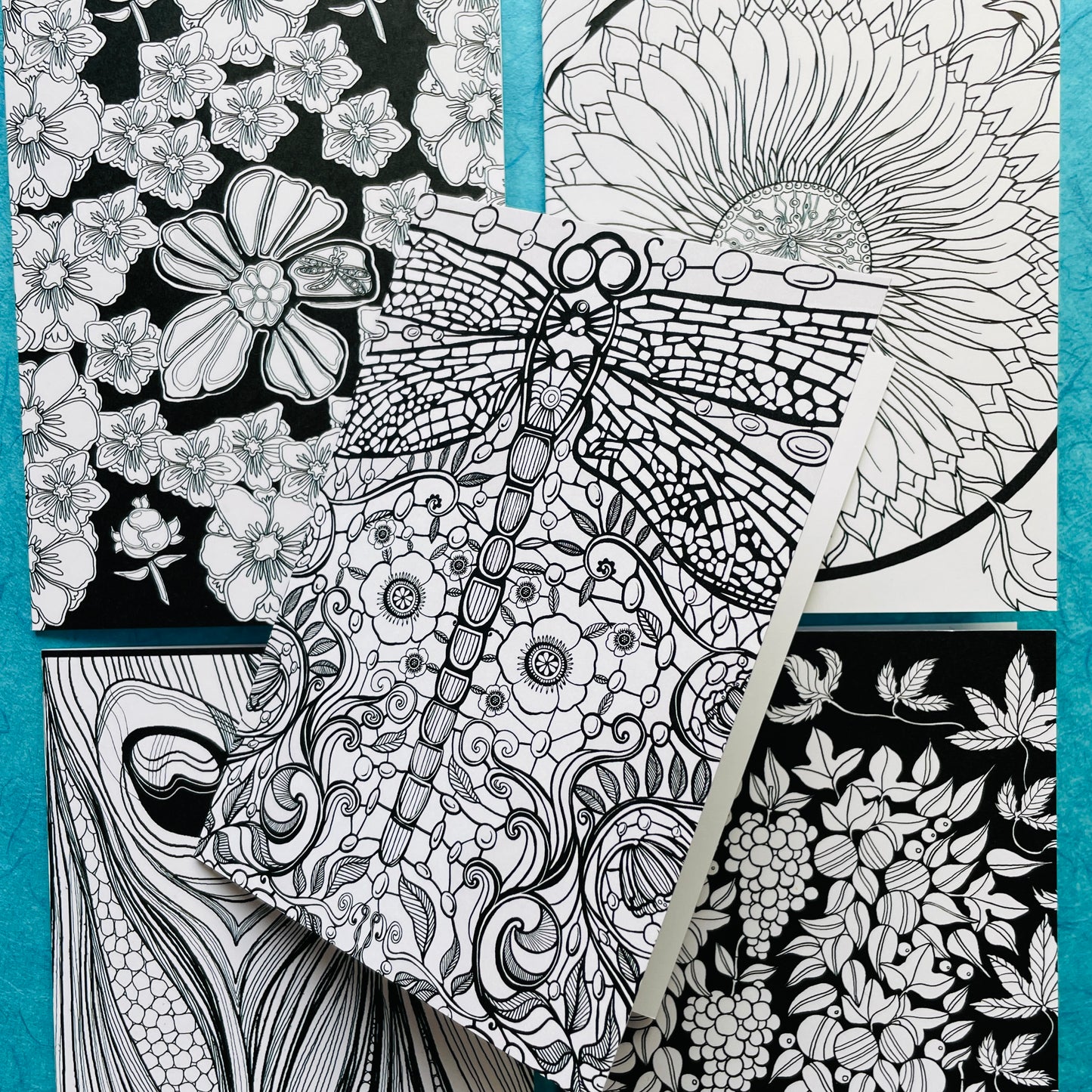 Black & White Greetings Cards