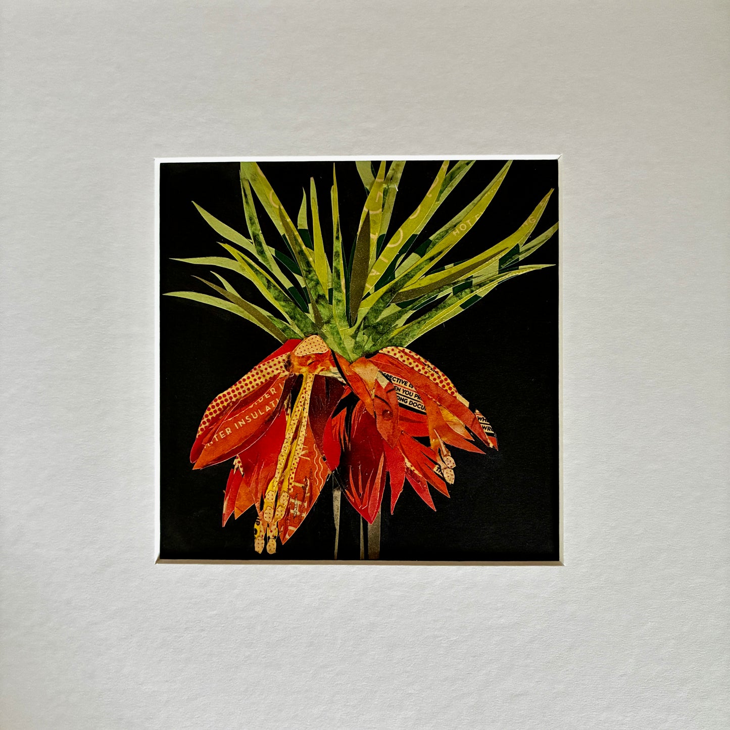 Orange Lily Mounted Papercut collage 1