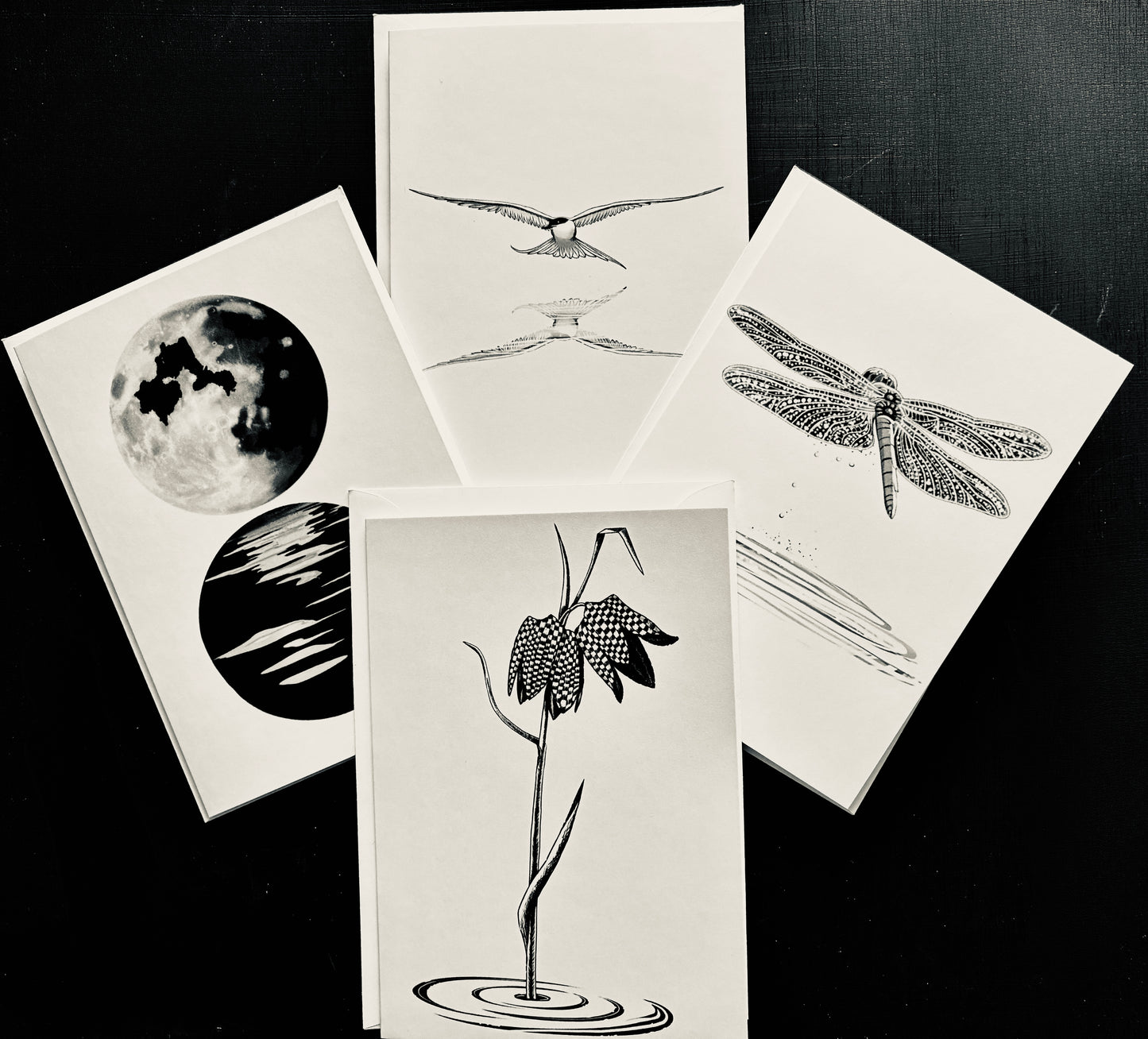 River Collection cards