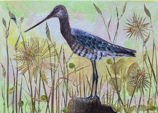 Godwit SOLD