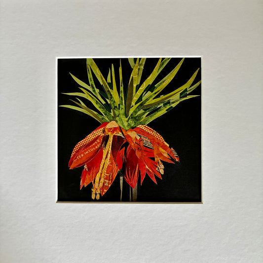 Orange Lily Mounted Papercut collage 1