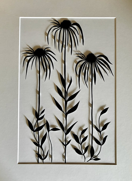 Echinacea Mounted papercut 10