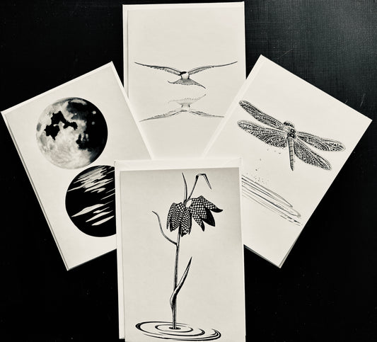 River Collection cards