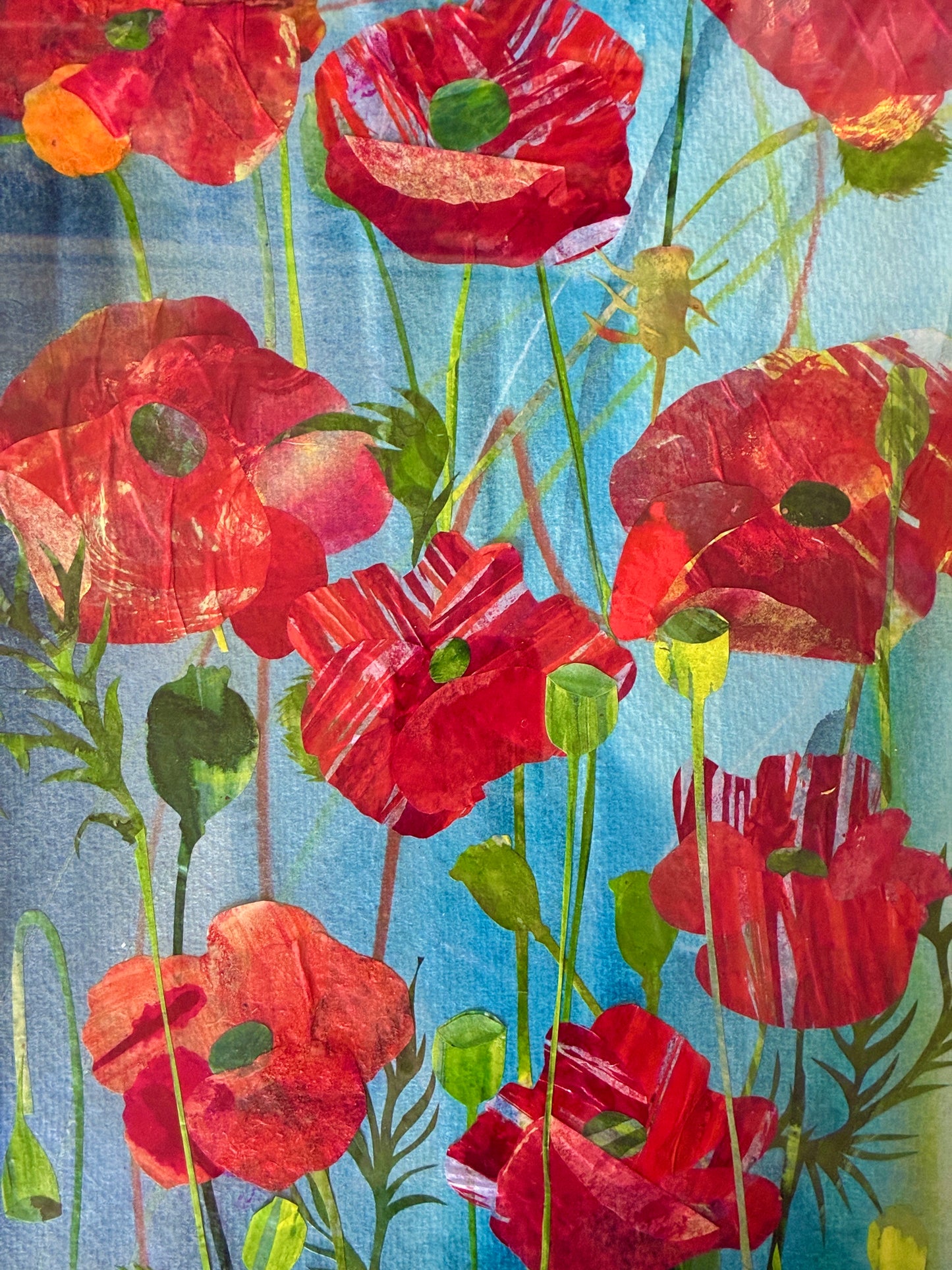 Poppies on Blue