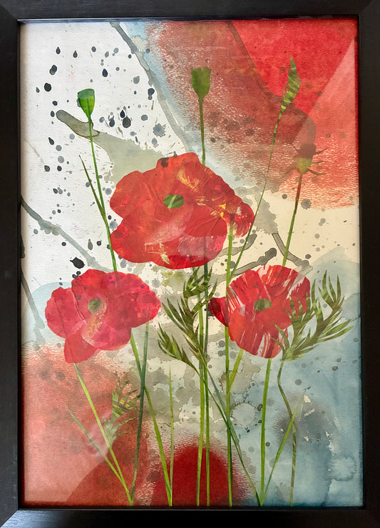 Red Poppies