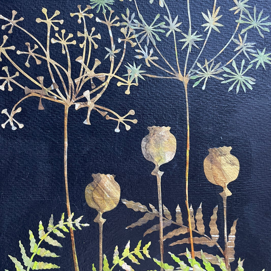 Poppy Seed